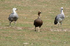 Killikus&reg; Fotographie